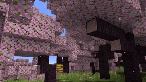 Experience the Pink Magic: Minecraft's Cherry Blossom Biome