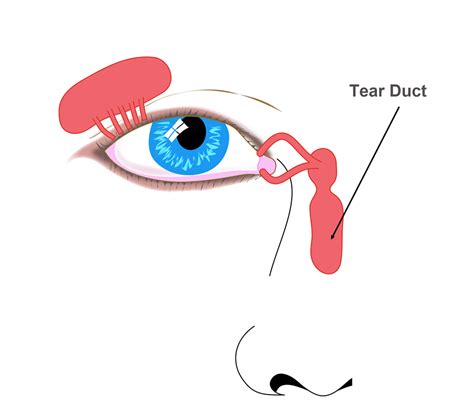 Tear Duct | Eye Patient