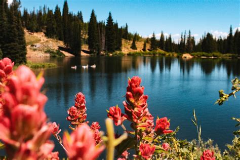 7 Best Things To Do in Park City, Utah Year Round | Eagle Creek