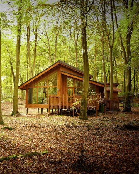 Forest Holidays, Blackwood, cabin review - delicious. magazine