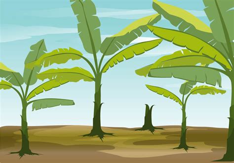 Clip art banana tree