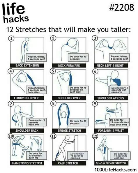 Stretches that make you taller | How to grow taller, Grow taller ...