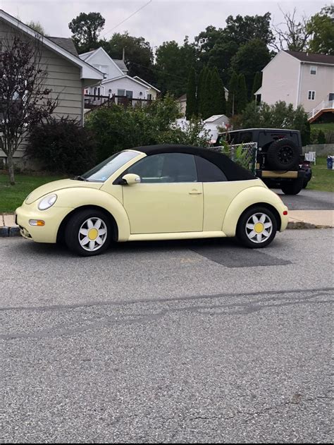 VW Beetle in 2023 | Dream cars, My dream car, Girly car