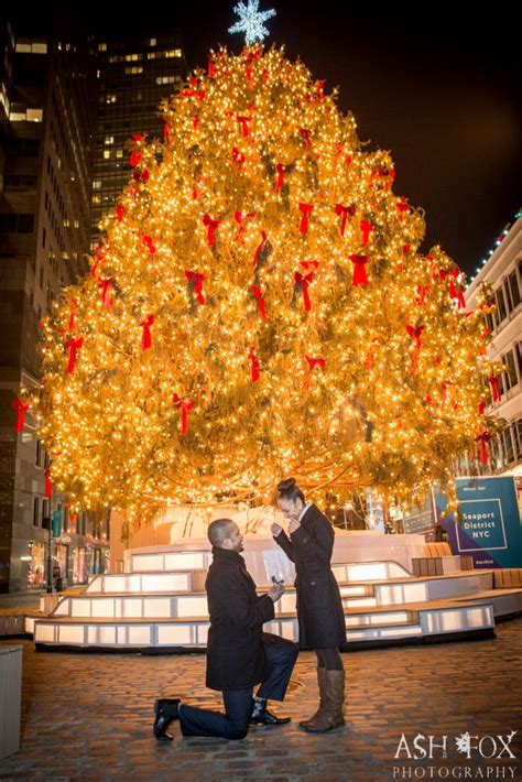 NYC South Street Seaport Christmas Tree Marriage Proposal - Ash Fox ...