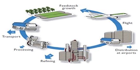 Sustainable Aviation Fuel - Assignment Point