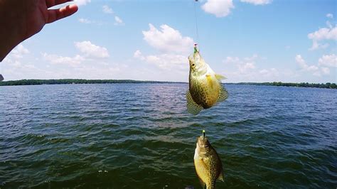 My FAVORITE Crappie Rig Setup (How to Tie Double Jig Crappie Rig ...