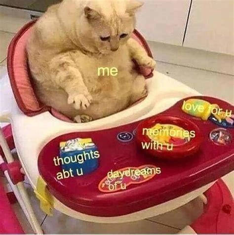 can i get some uhhhhh love and affection | /r/wholesomememes ...