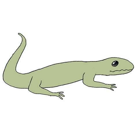 How to Draw a Reptile - Easy Drawing Tutorial For Kids