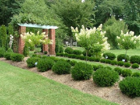 Pin by Alex Goldstone on Landscaping | Shrubs for landscaping, Landscaping shrubs, Small ...