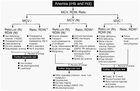 Understanding Red cell indices | Epomedicine