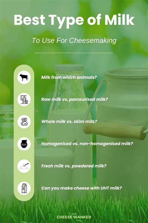 What is the Best Type of Milk for Cheesemaking?