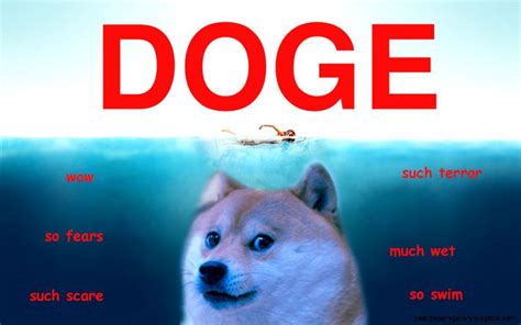 Doge Meme Iphone Wallpaper