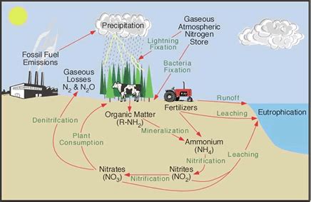 Structure and Composition of Biosphere - Geography Study Material & Notes