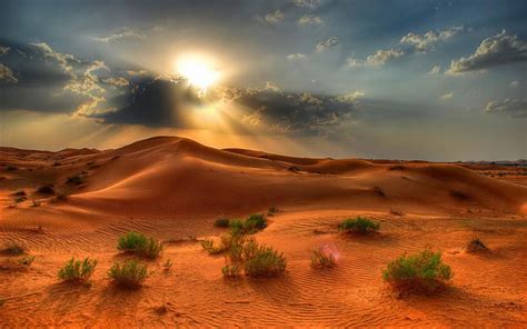 Desert Landscape Summer Sunset In The Desert Red Sand Beautiful ...