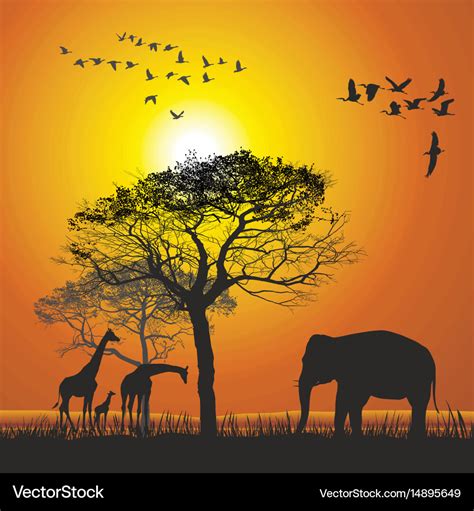 Sunset over the safari Royalty Free Vector Image