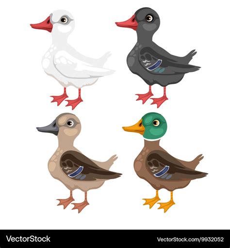 Four cartoon duck in different colors Royalty Free Vector