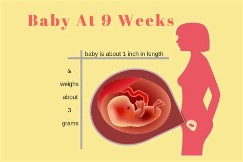 9 Week Old Baby Development - Latest News