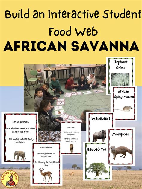 Here is an African savanna safari student interactive food chain and food web activity to ...