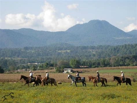 Termales del Bosque desde $1,333 (Quesada, Costa Rica) - opiniones y ...