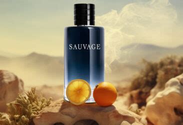 Best Dior Sauvage Colognes For Men - Which Should You Buy?