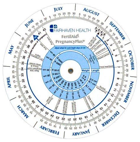 51 best Ovulation Calendar images on Pinterest | Ovulation calendar, Ovulation calculator and ...