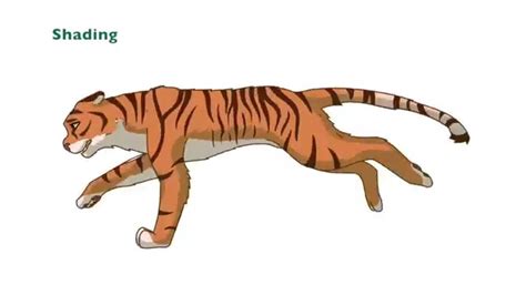 Tiger Run Cycle | Animation Process - YouTube