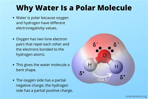 Water Molecule Diagram Electrons