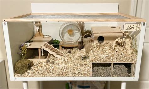 IKEA LINNMON DIY hamster cage ideas | Hamster habitat, Hamster cages, Hamster diy