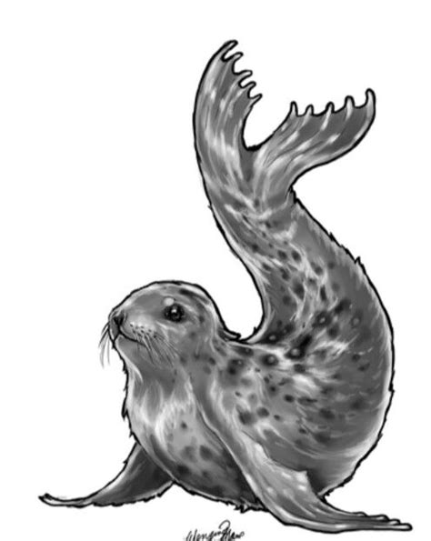 Selkie | Seal tattoo, Ocean tattoos, Animal drawings