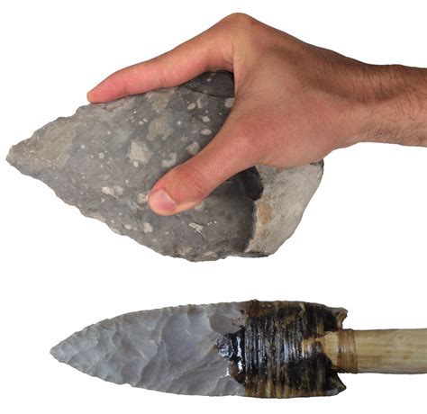 Stone tools reveal modern human-like gripping capabilities 500,000 years ago