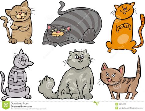 Funny Cartoon Cat 6 Free Hd Wallpaper - Funnypicture.org