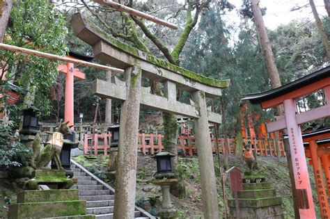 The Best Way To Hike The Fushimi Inari Shrine and See The Tori Gates ...