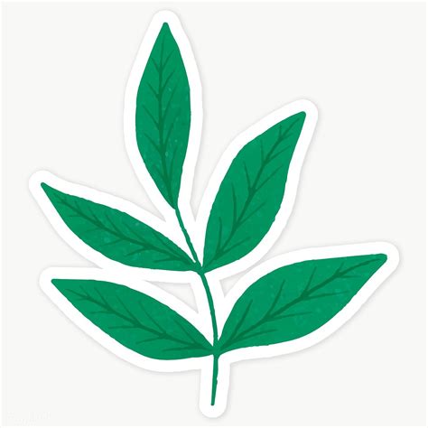 Download premium png of Green leaves sticker transparent png by katie about border, green leaf ...