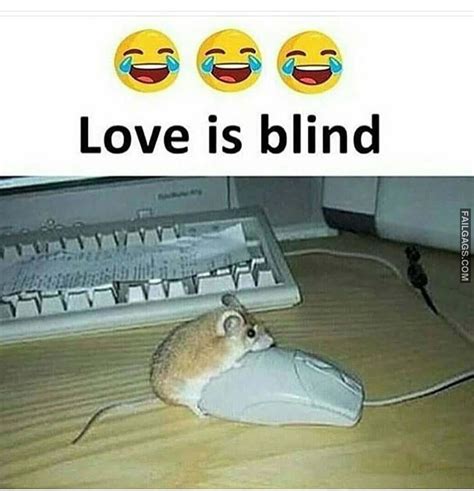 Love is blind funny memes | Scrolller