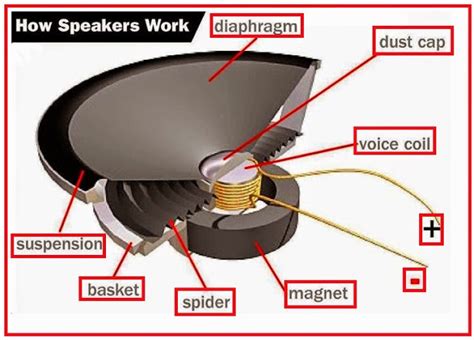 How Speakers Work? - Electrical Engineering Updates