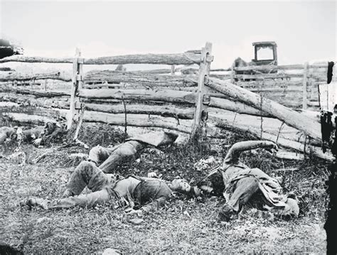 The Dead of Antietam