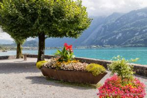 Lake Brienz Cruise- Highlights of a Lake Brienz Boat Tour