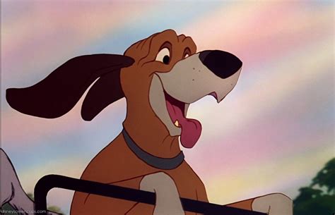 The Fox and the Hound / Characters - TV Tropes