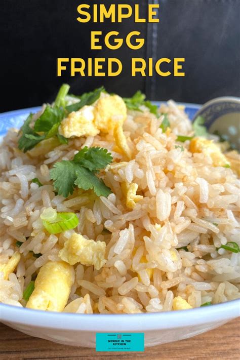 Simple Egg Fried Rice | Newbie In The Kitchen