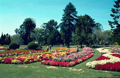 Queens Park & Botanic Gardens | Dog Friendly Walk in Toowoomba | Pupsy