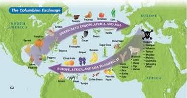 Overall Impacts Of Imperialism - Latin America 1800's