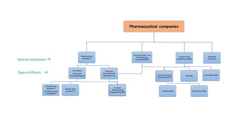 Different types of pharmaceutical companies and their plants