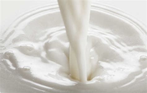 Benefits of milk protein for your hair – Milkshake USA