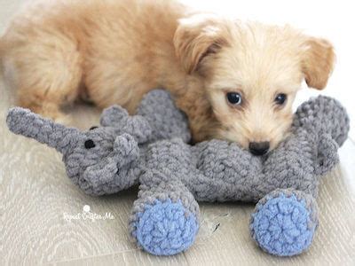 10 Crochet Dog Toys Patterns - Crochet News