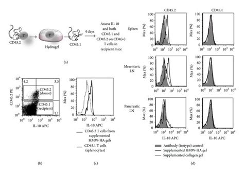 Supplemented HA hydrogels induce IL-10 in vivo. (a) Diagram of the... | Download Scientific Diagram