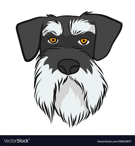 Miniature schnauzer dog face cartoon Royalty Free Vector