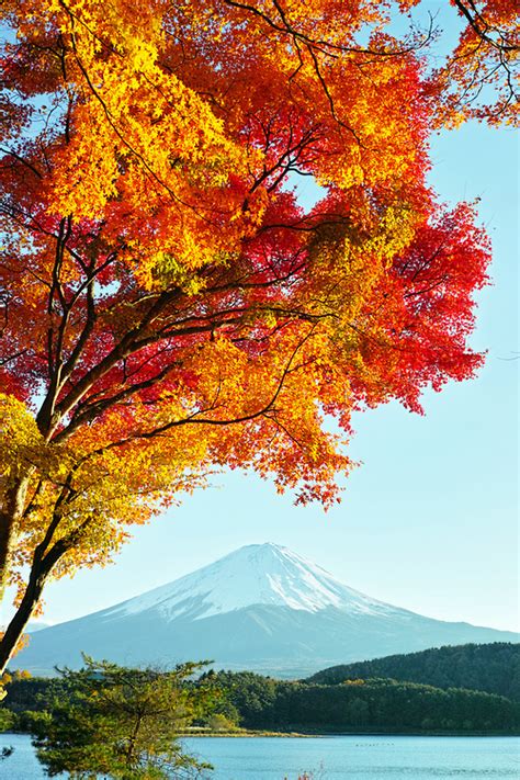 Mt. Fuji, Japan | MATTHEW'S ISLAND