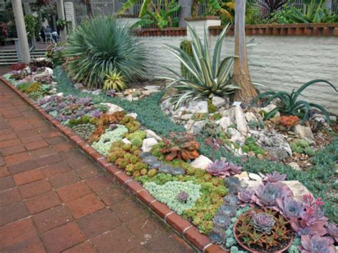 How to Plant an Outdoor Succulent Garden - World of Succulents