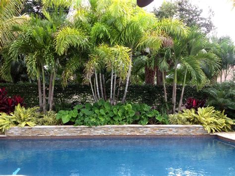 Pin by Ghada Dergham on Tropical Pool Oasis | Pool landscaping ...