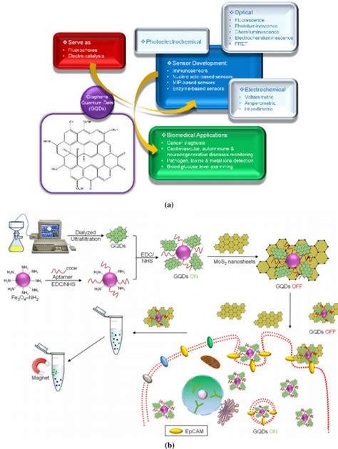 a The applications of graphene quantum dots in biomedical sensors and ...